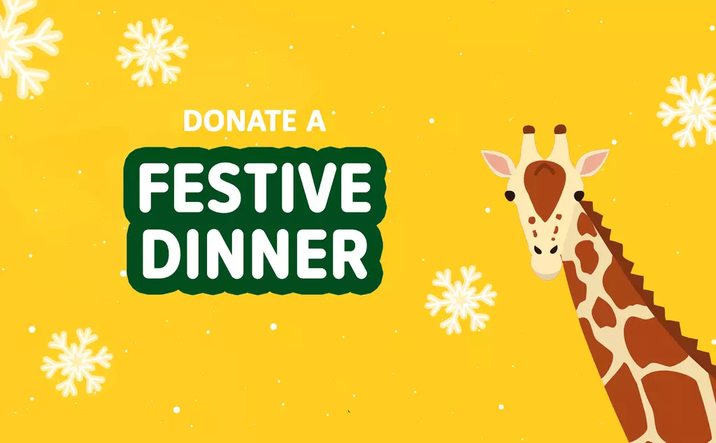 Donate a festive dinner