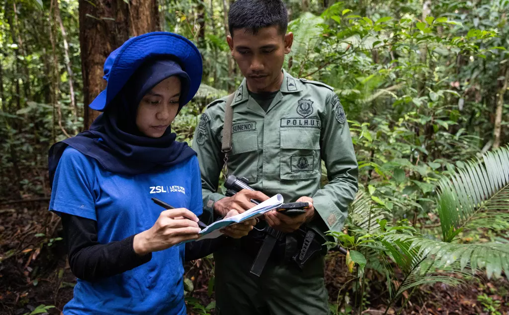 Two conservationists in Indonesia