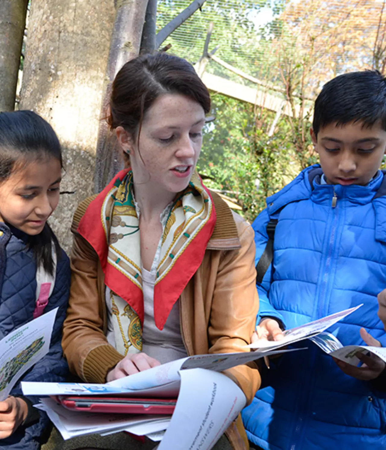 london zoo school visit risk assessment