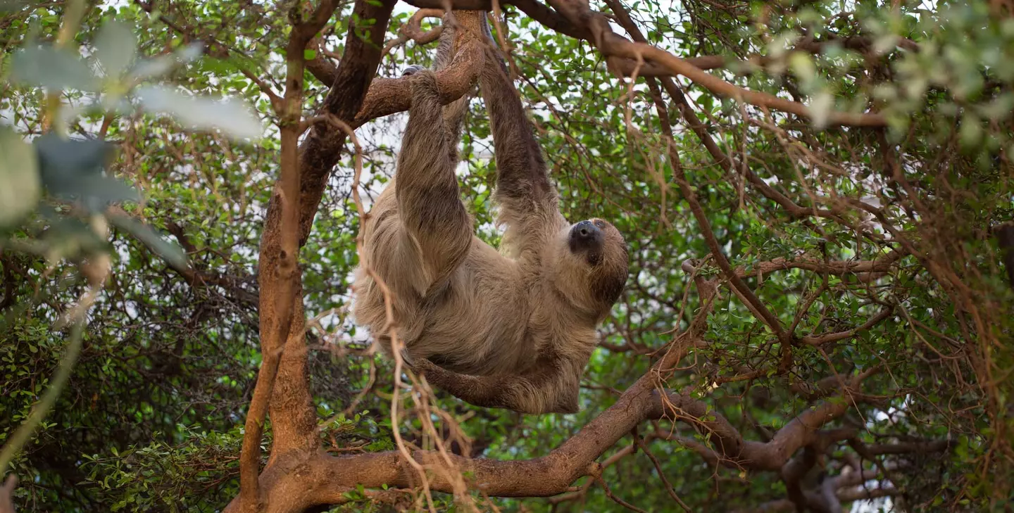 Habitats | London Zoo