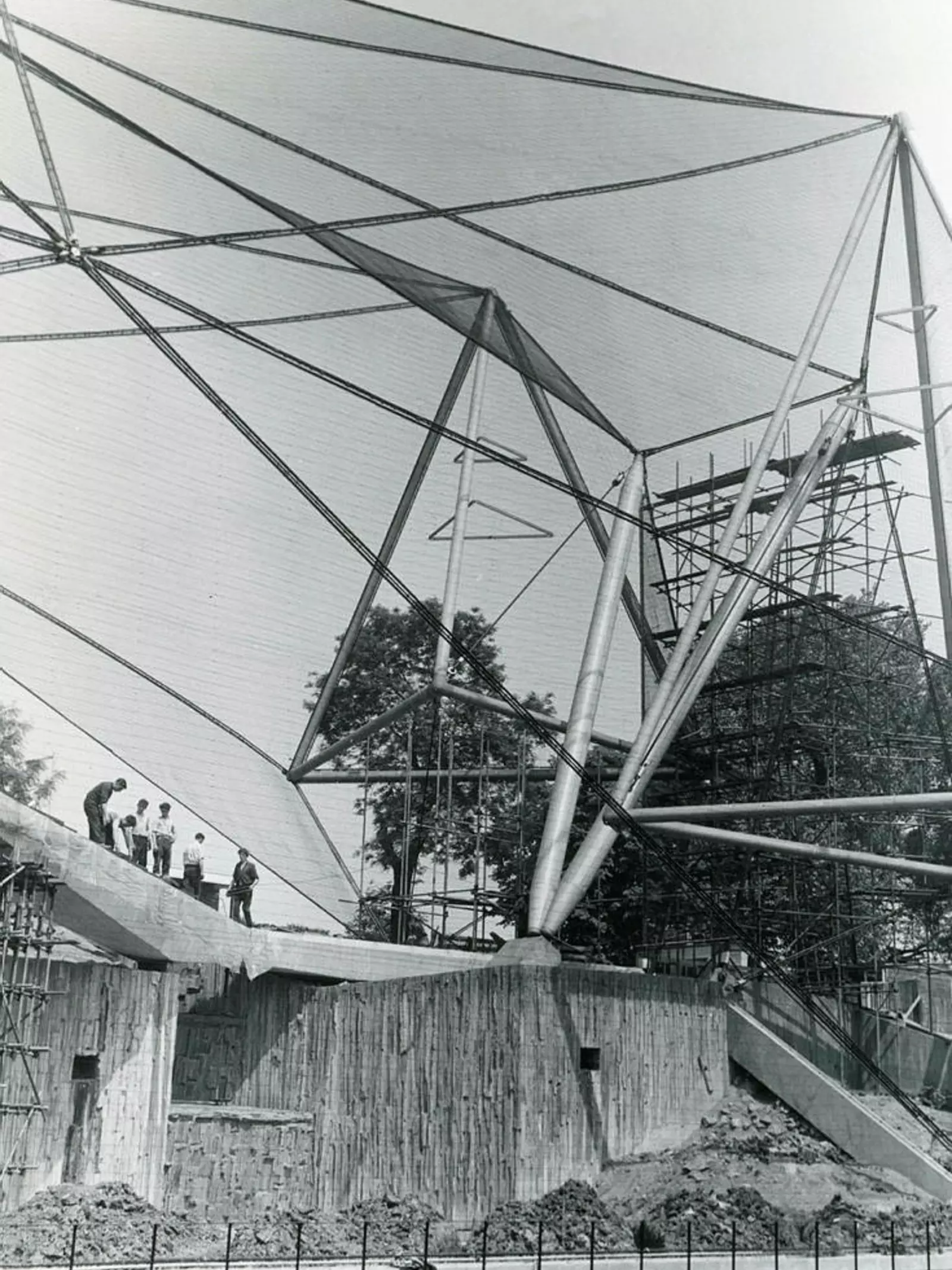 The Snowdon Aviary under construction in the summer of 1964.