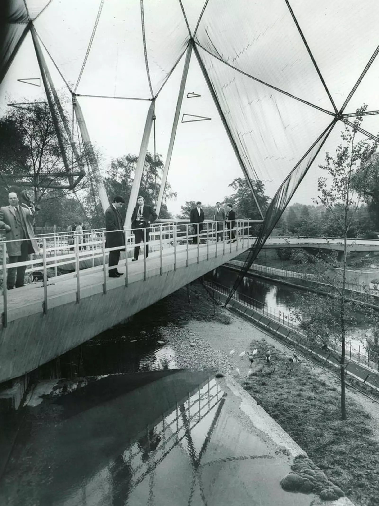 The Snowdon Aviary with Press men on the walkway looking down to Grey Crowned Cranes and Egrets below. 27th May 1965.