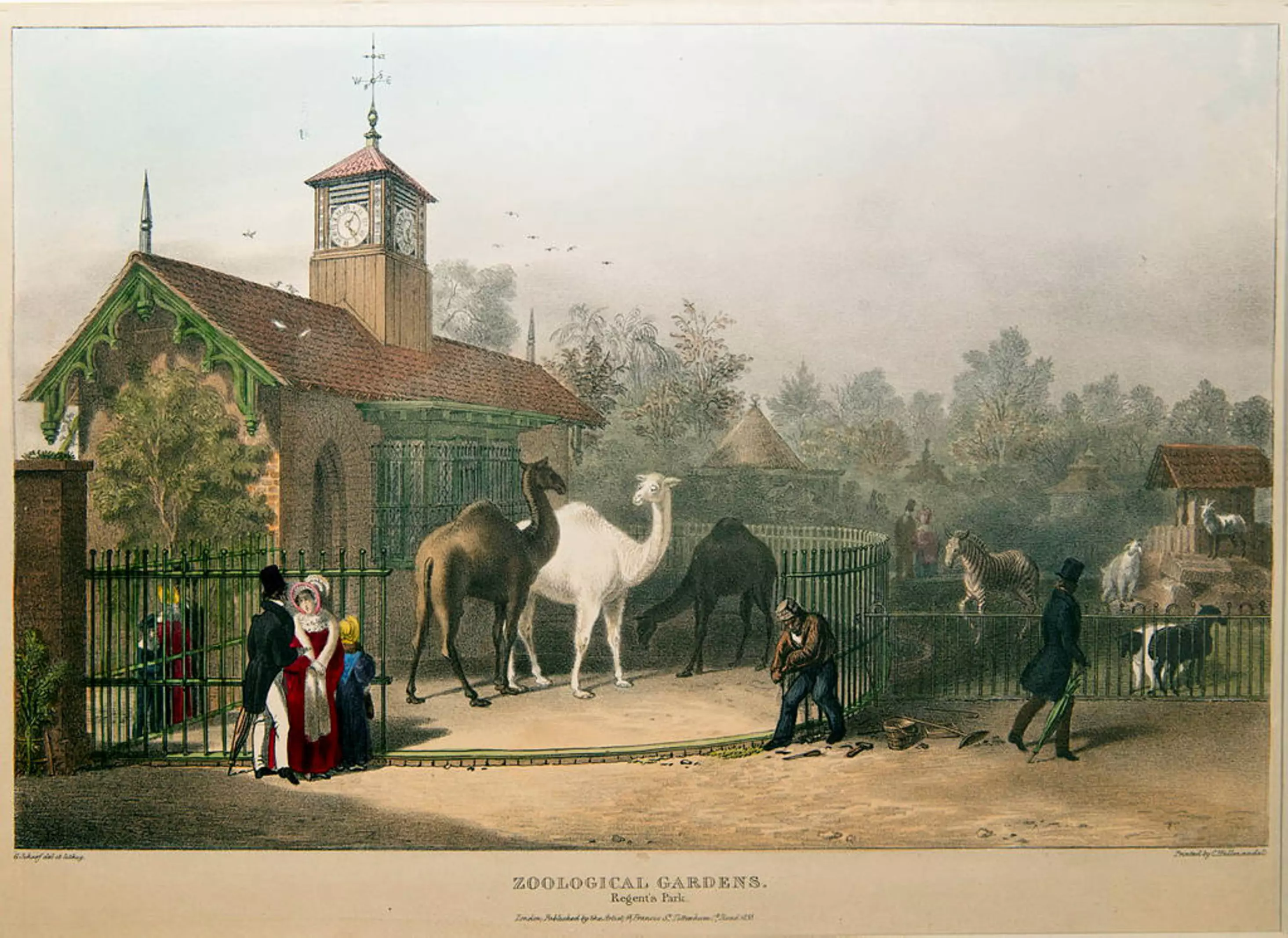 Illustration of view of the Clock Tower in 1835 