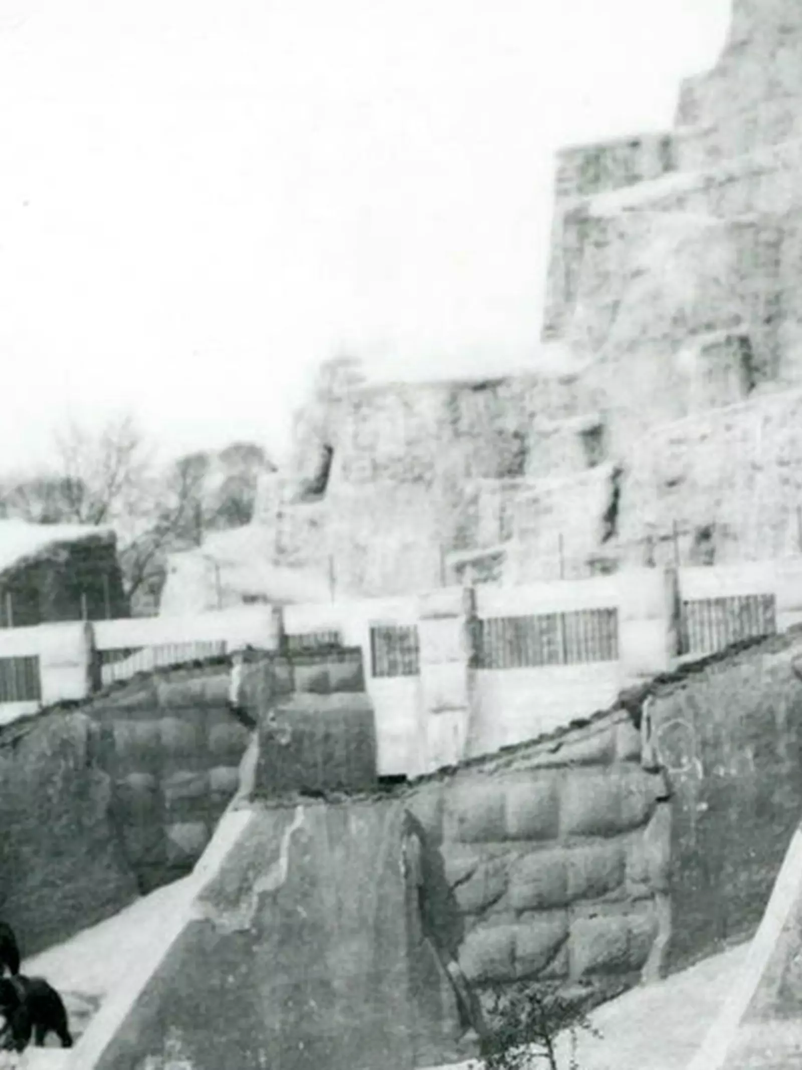 Mappin Terraces at London Zoo historic photo, now called Outback Mountain. 