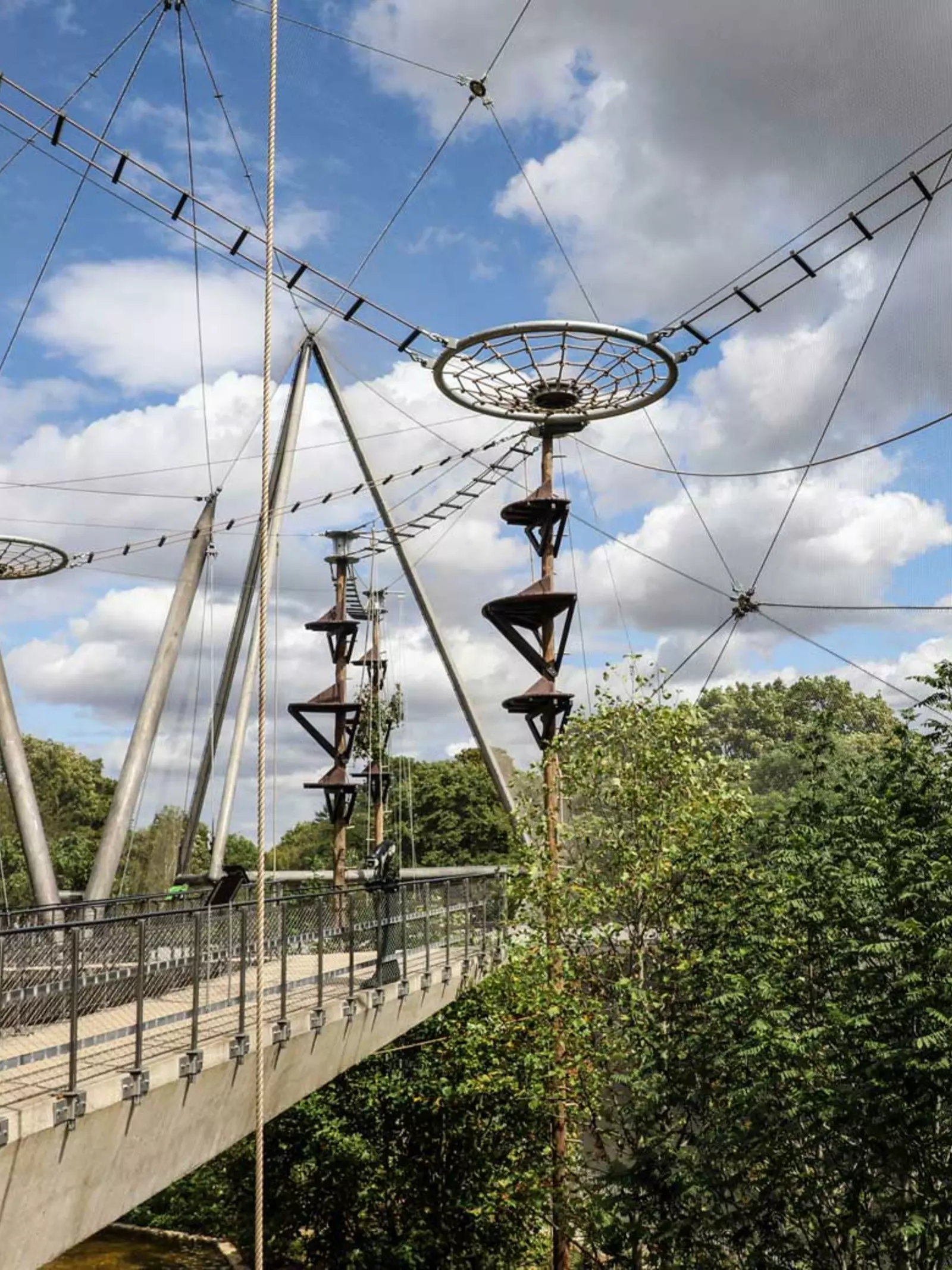 Snowdon Aviary has now been transformed to Monkey Valley, full of trees and tall swings. 