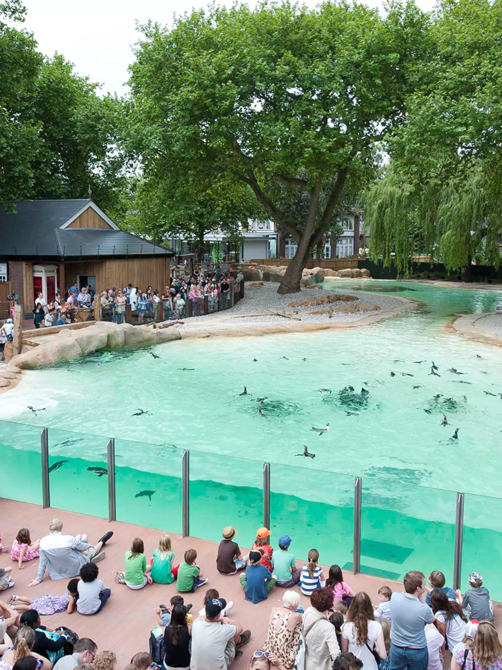 London Zoo visitors watching a live talk and feeding of the penguins at Penguin Beach
