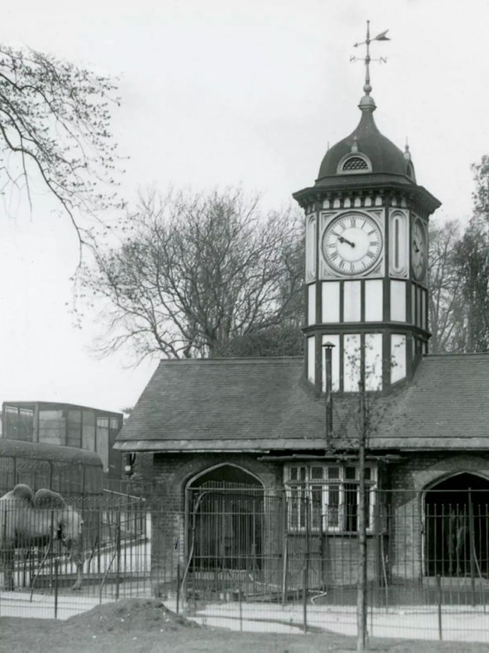 Designed by Decimus Burton in 1828 for llamas, in 1831 a clock was added to the top of the building, and the llamas were replaced with camels. 