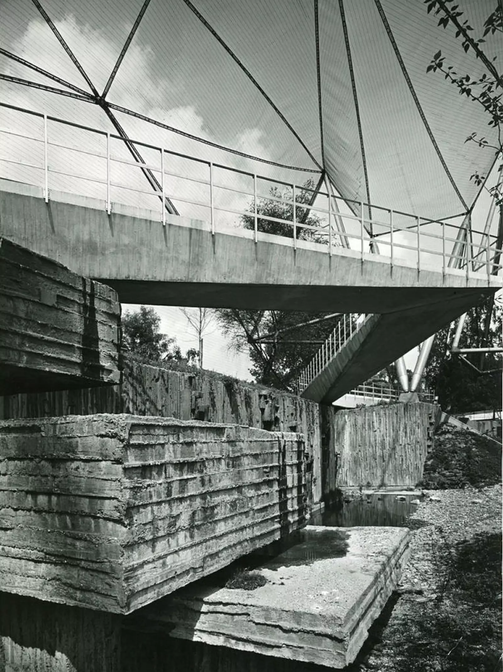 The Snowdon Aviary seen from inside, below the walkway in June 1965.