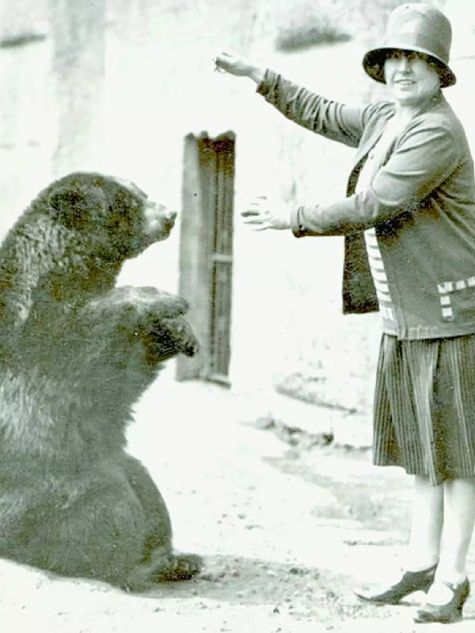 The black bear Winnie which provided inspiration for Winnie the Pooh, sitting with a woman,