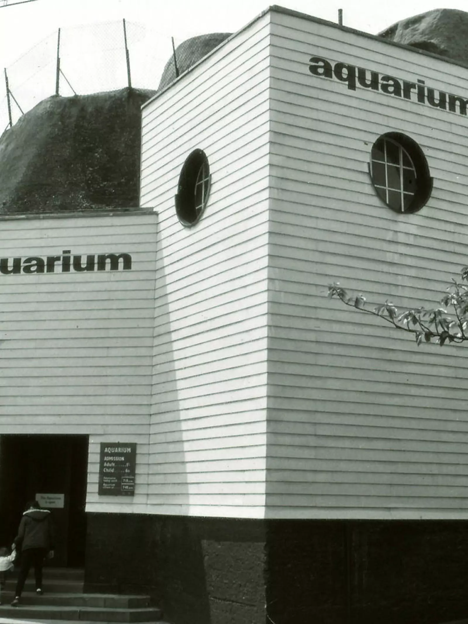 London Zoo aquarium 1965-1971