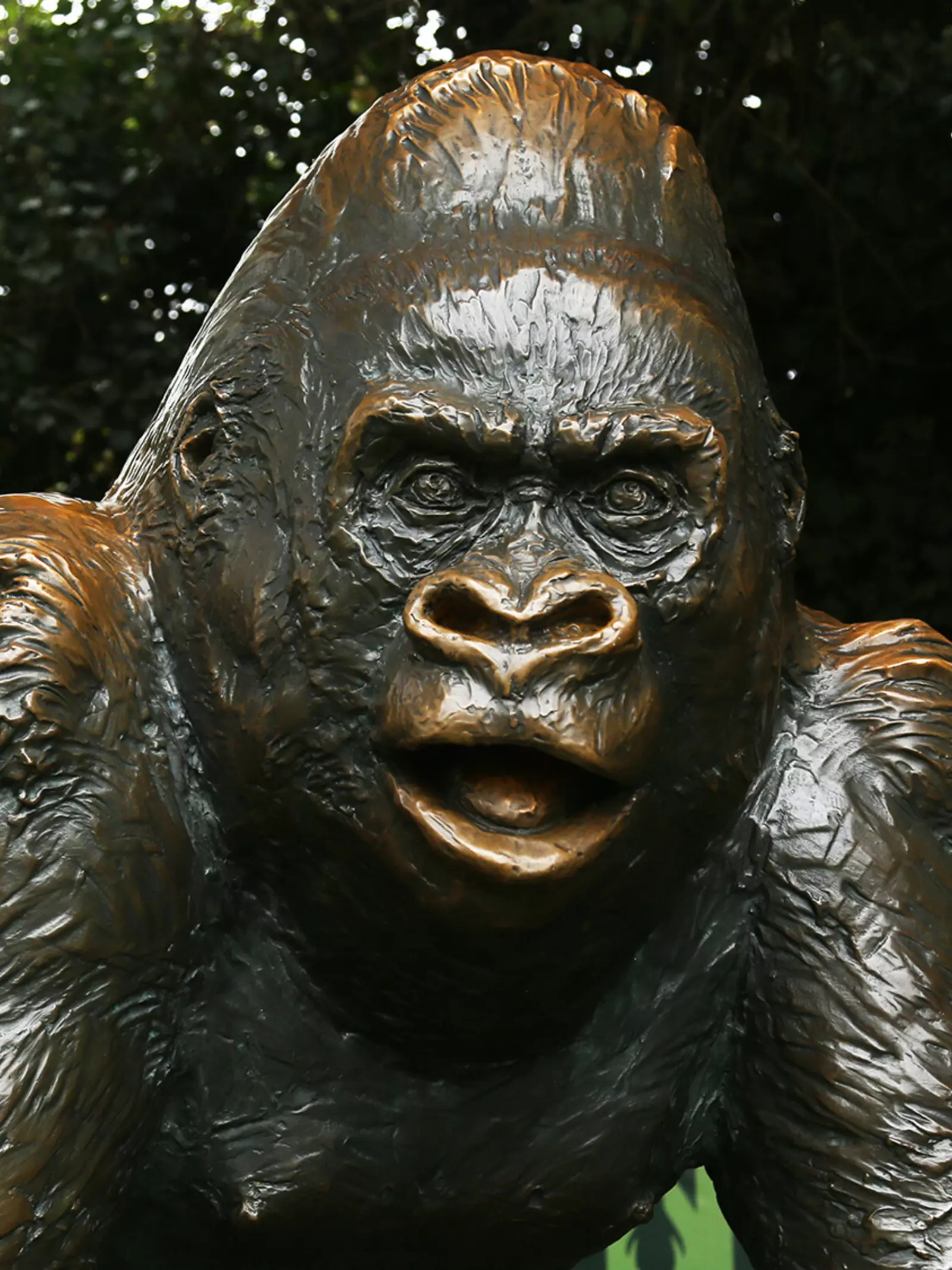 Bronze Guy the Gorilla statue at London Zoo