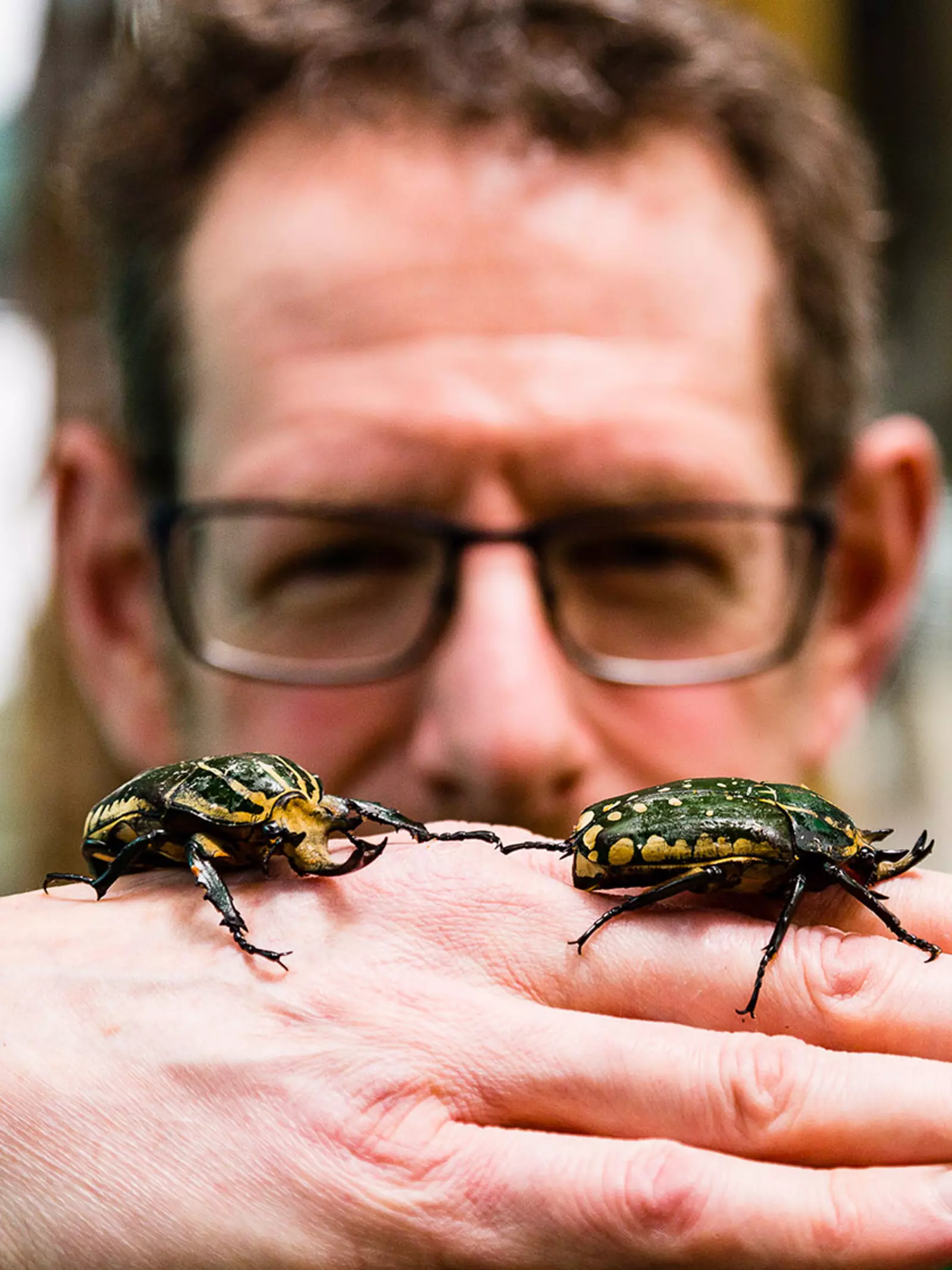 Zookeeper Dave Clarke with flower beetles on his hand