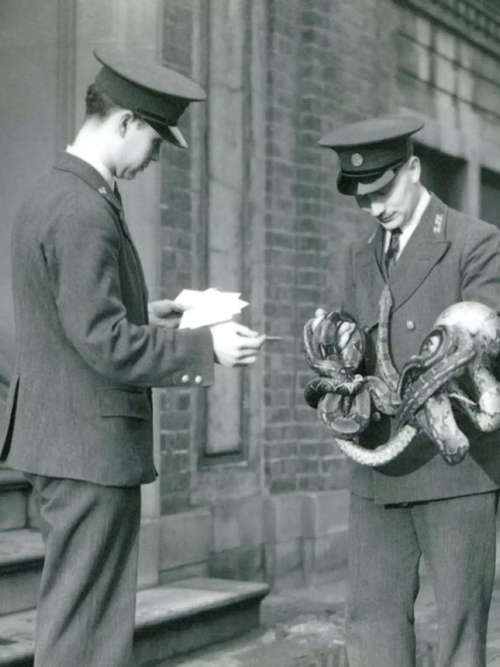 Reptile stocktaking at London Zoo, with Zookeepers in December 1935. 