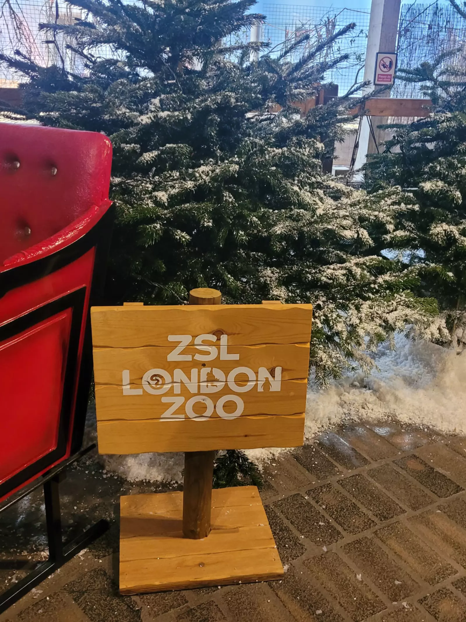London Zoo venue decorated for Christmas parties 