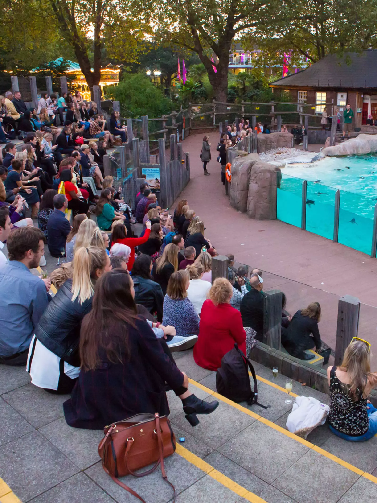 Penguin Beach view from the amphitheatre style seating as people watch penguins being fed