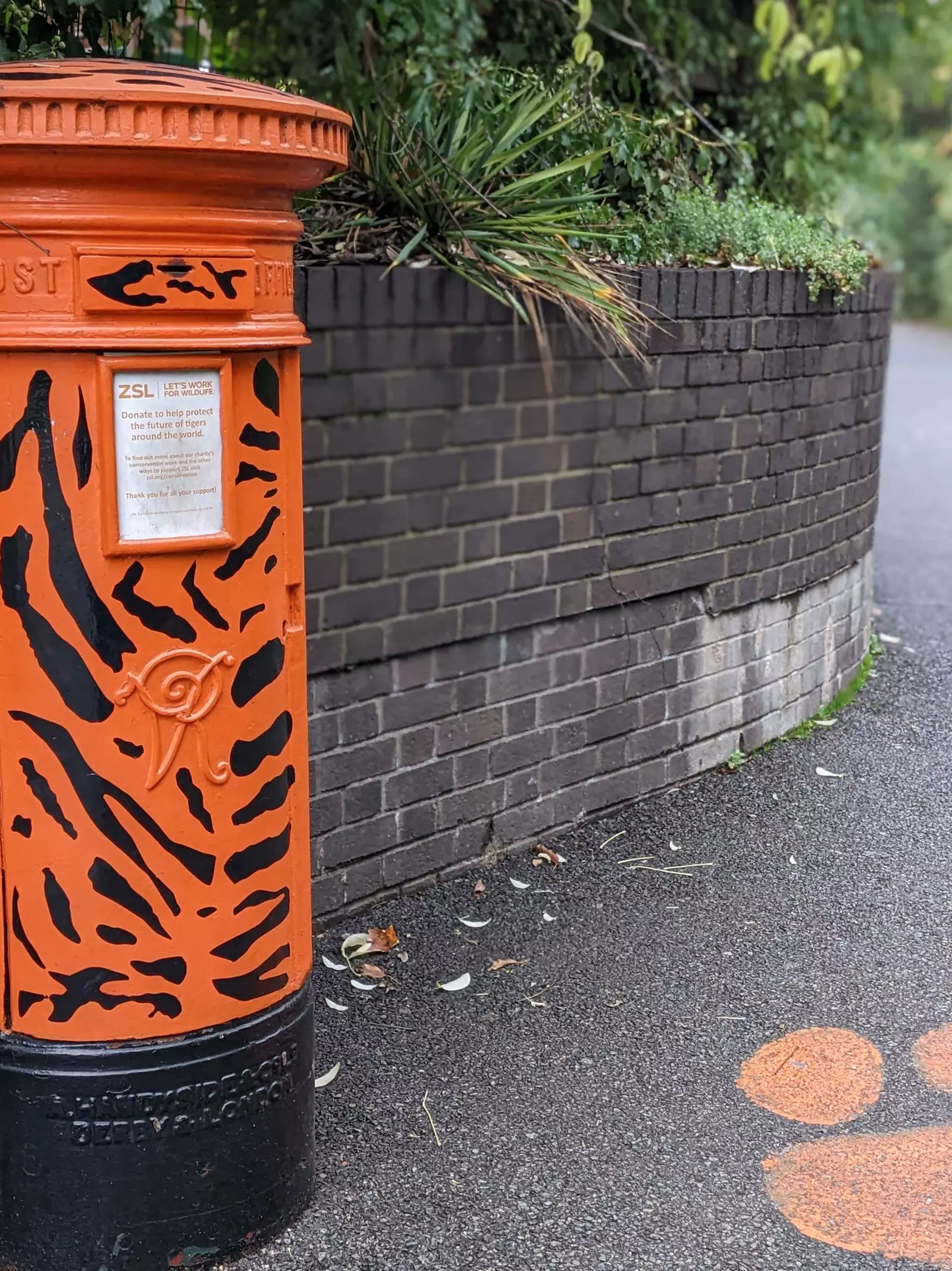 Queen Victoria tiger striped London Zoo postbox