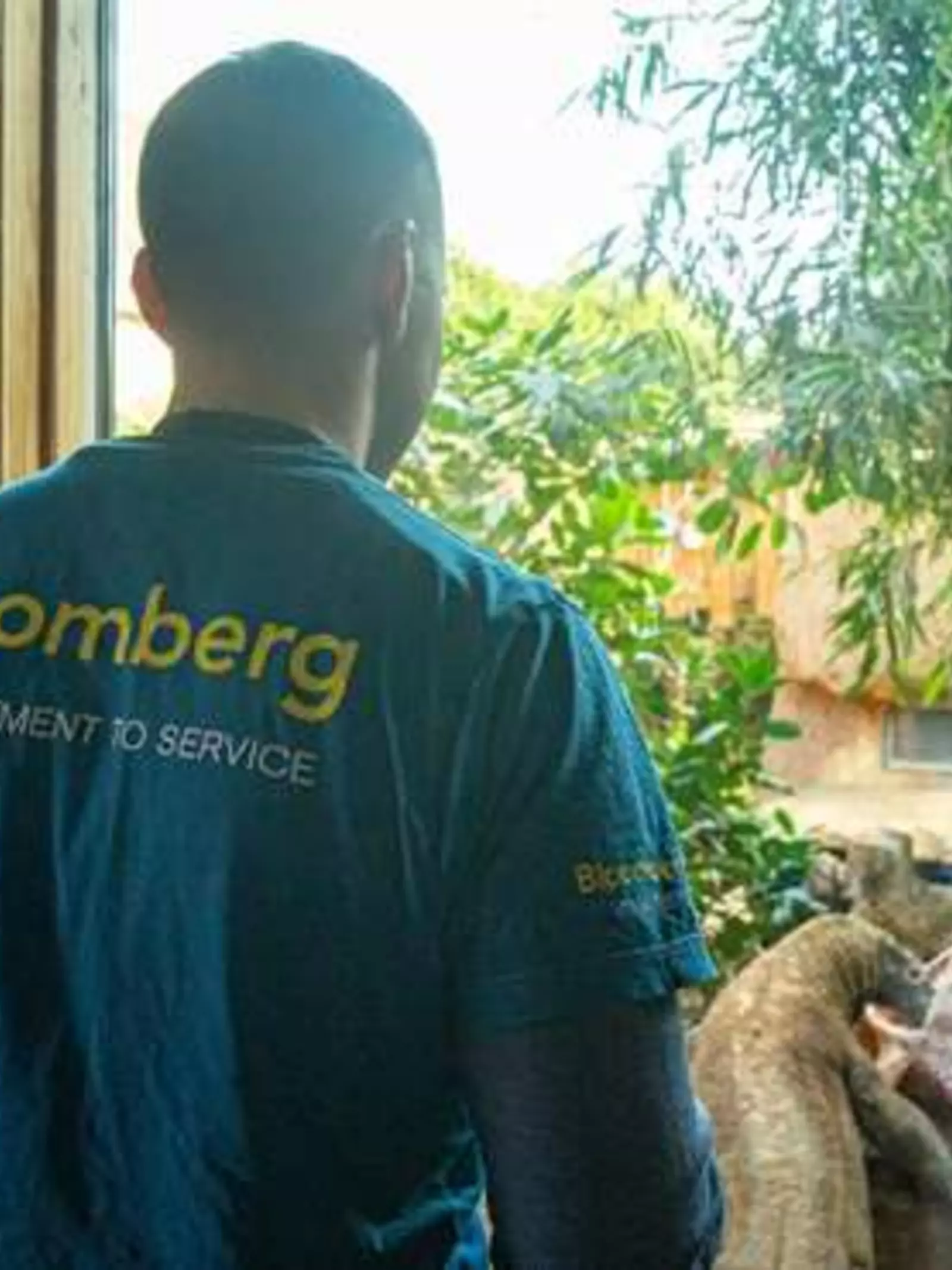 Bloomberg partnership London Zoo