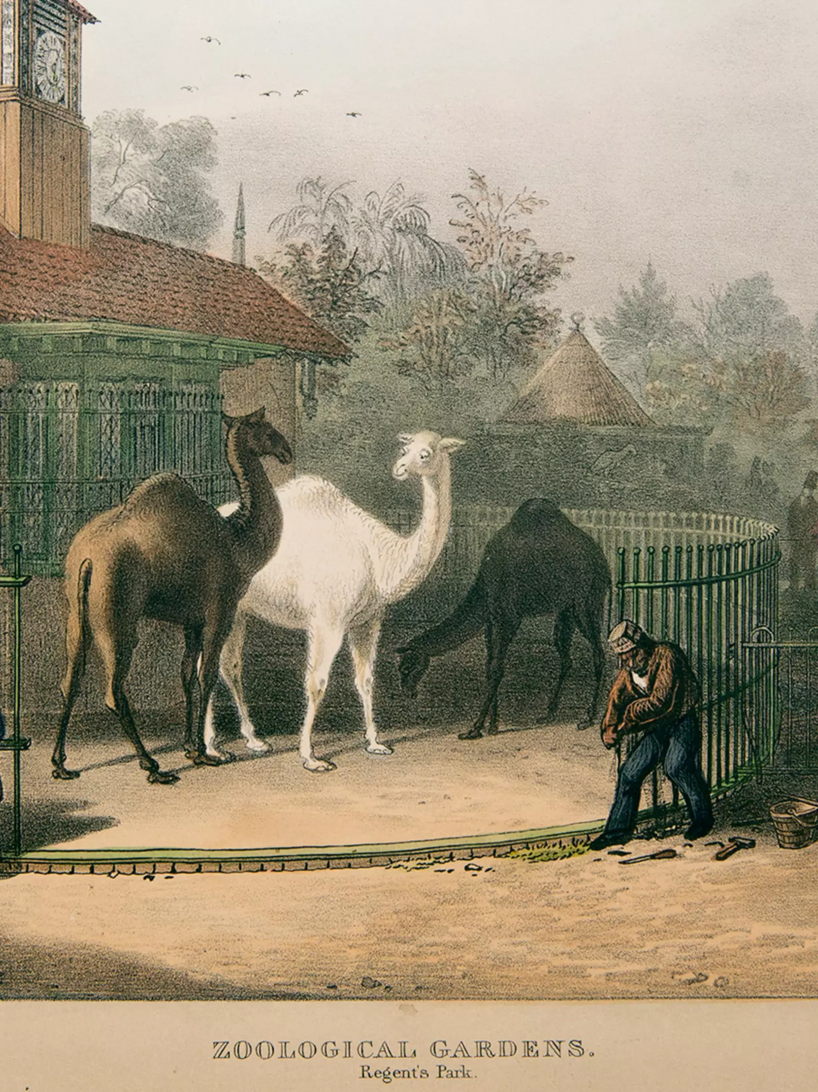 Historic painting of London Zoo entry