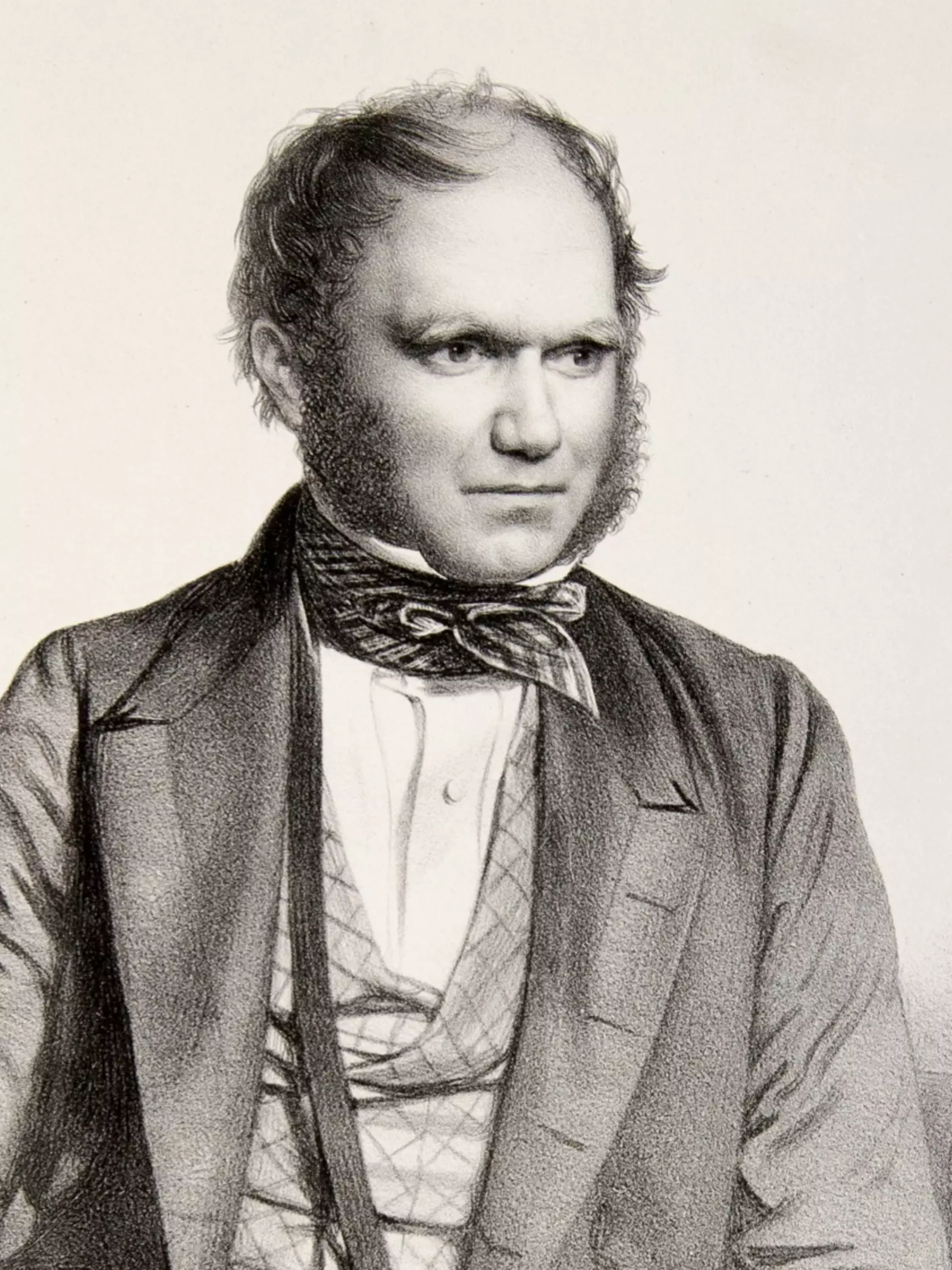 Charles Darwin drawing illustration 