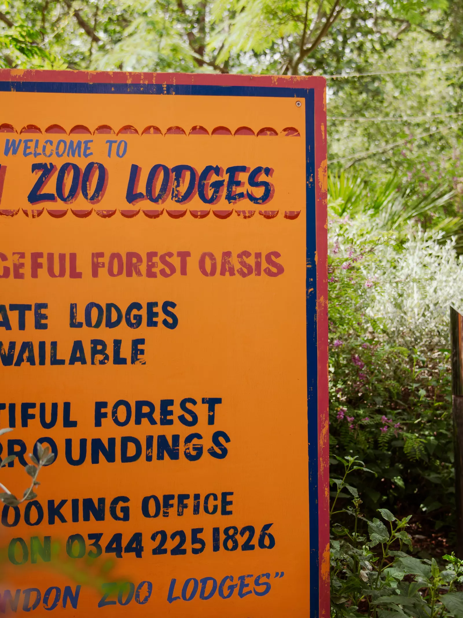 Welcome to London Zoo Lodges