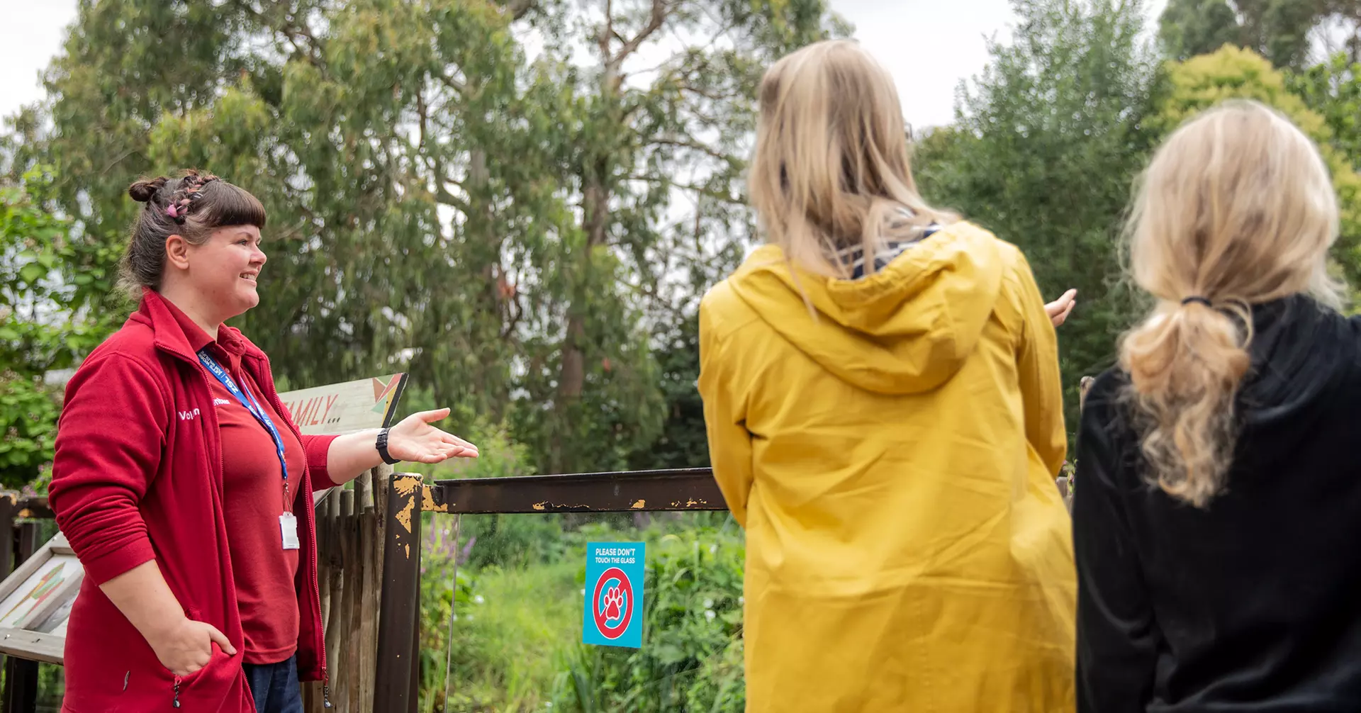 Volunteer at London Zoo