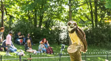 An owl during Super Species Live at London Zoo