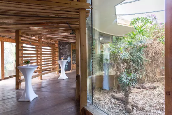 Animal areas for hire | London Zoo Animal areas for hire | London Zoo