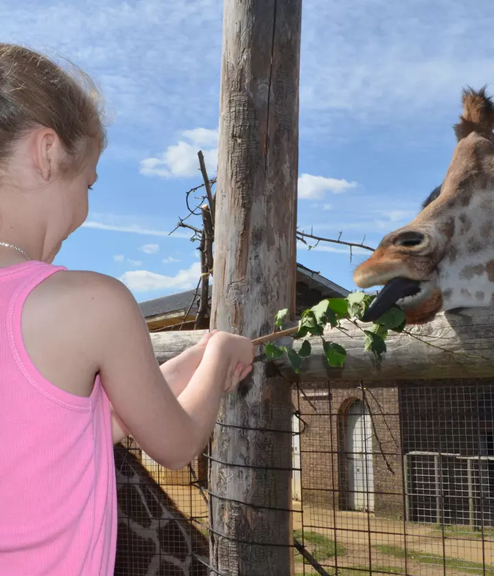 London Zoo Experiences | London Zoo London Zoo Experiences | London Zoo