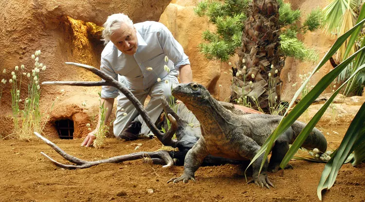 David Attenborough at Komodo Dragon house at London Zoo