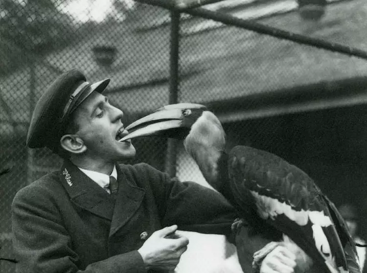 Zookeeper with a toucan bird