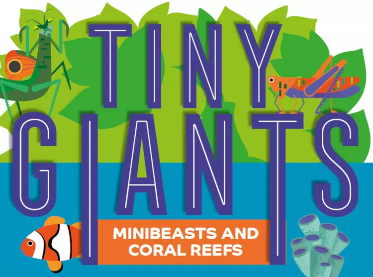 Tiny Giants logo, with a clownfish, locust, coral and praying mantis illustration. 