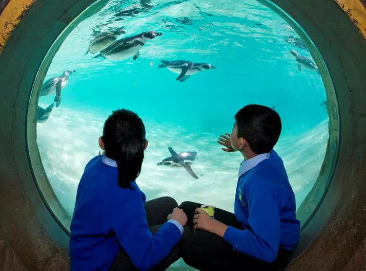 Two primary school students at London Zoo on a school trip