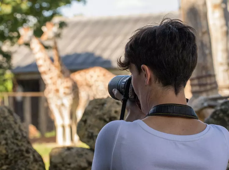 photographer at London Zoo