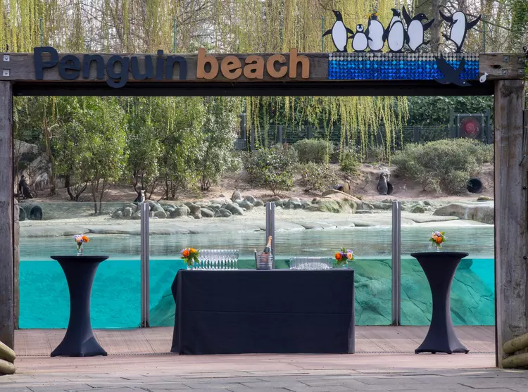 Entrance to Penguin Beach set up for an event with three tables topped with flowers