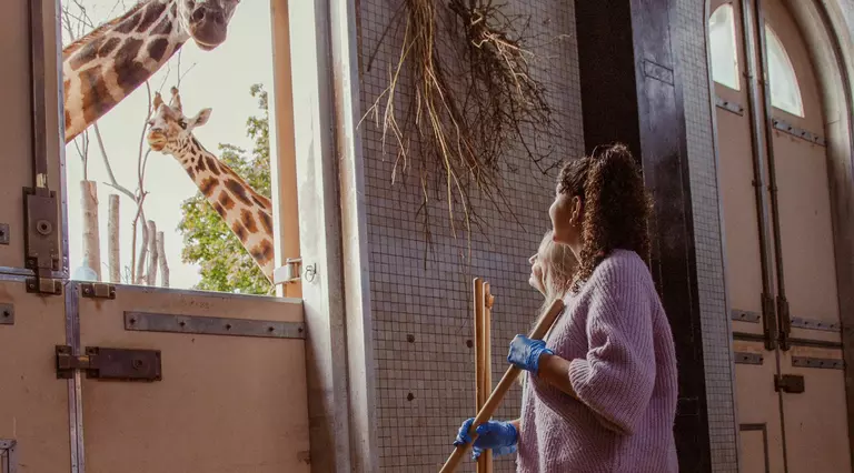 Two women sweeping up during the Giraffe Keeper experience