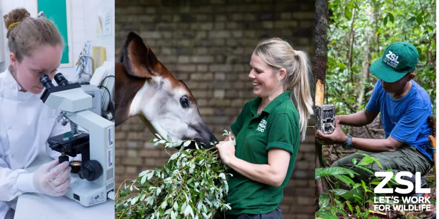 Animal Careers Conference 