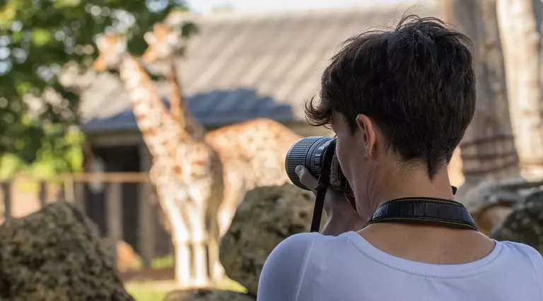 photographer at London Zoo