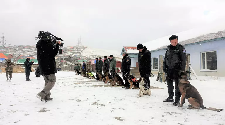 Detector dog training in the snow to fight the illegal wildlife trade in Mongolia.