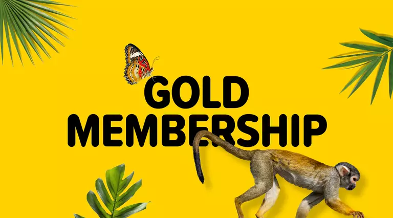 London Zoo Gold Membership