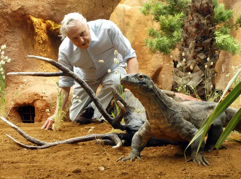 David Attenborough with Komodo dragon at London Zoo