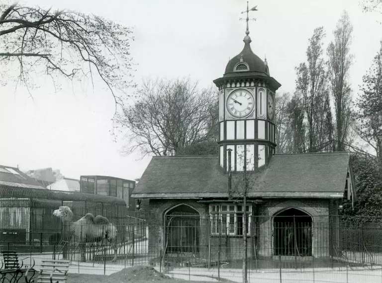 Designed by Decimus Burton in 1828 for llamas, in 1831 a clock was added to the top of the building, and the llamas were replaced with camels. 