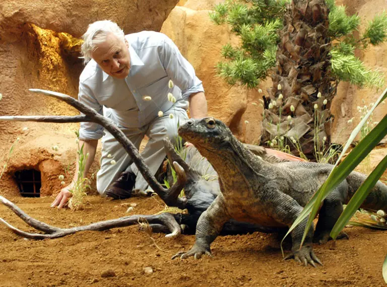 David Attenborough at Komodo Dragon house at London Zoo