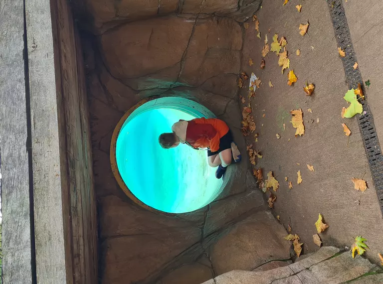 Relaxed opening attendee looking for penguins 