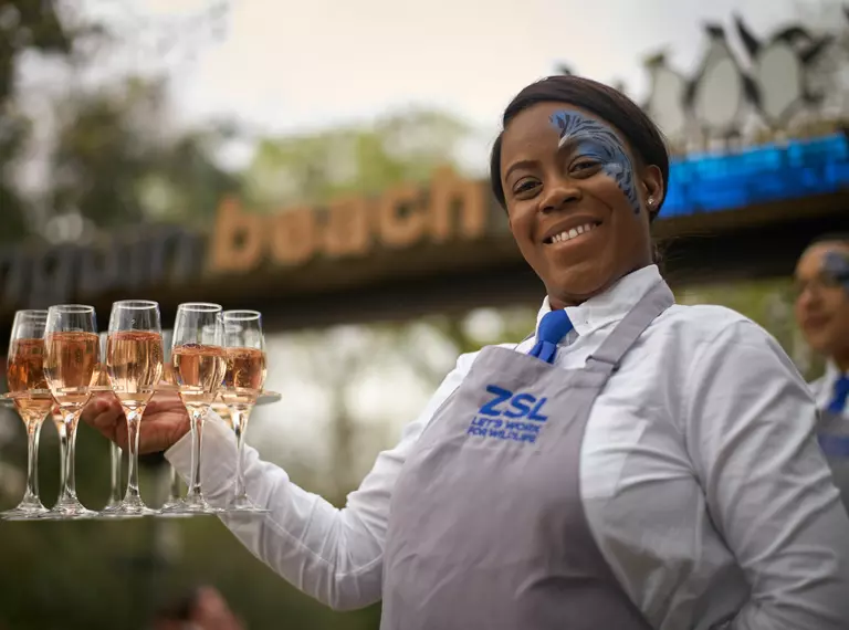 A woman with blue face paint on the left side of her face holding a tray prosecco glasses for guests arriving at an event at Penguin Beach