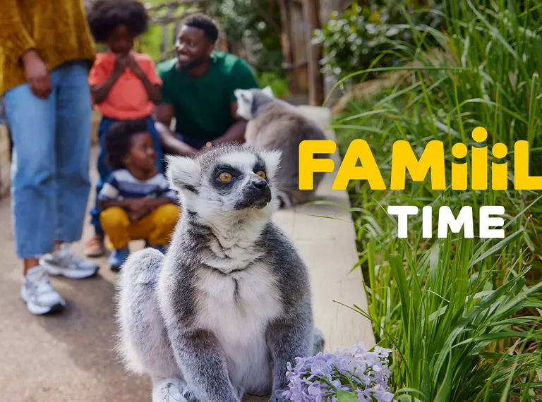 A family with young children with a lemur sitting in front of them looking towards the text 'Family time'