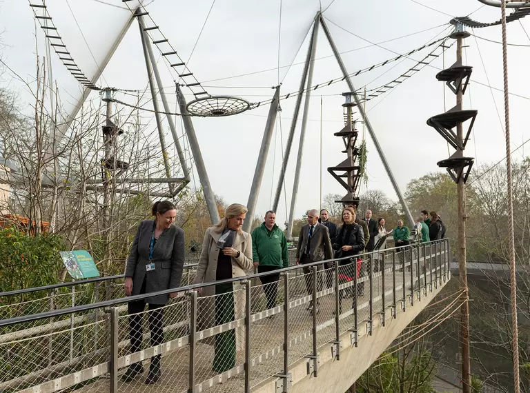 HRH The Countess of Wessex tours Monkey Valley with a group of ZSL staff