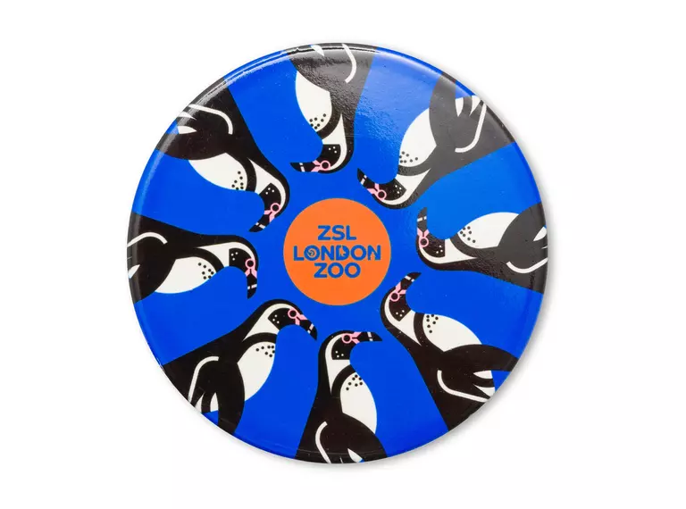 A blue penguin coaster from the souvenir range
