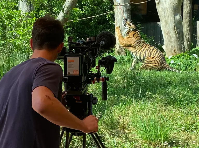 Filming at London Zoo commercial opportunities