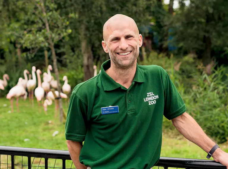 Nic Masters standing in front of the flamingo habitat at London Zoo