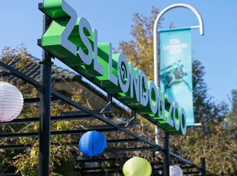 London zoo sign